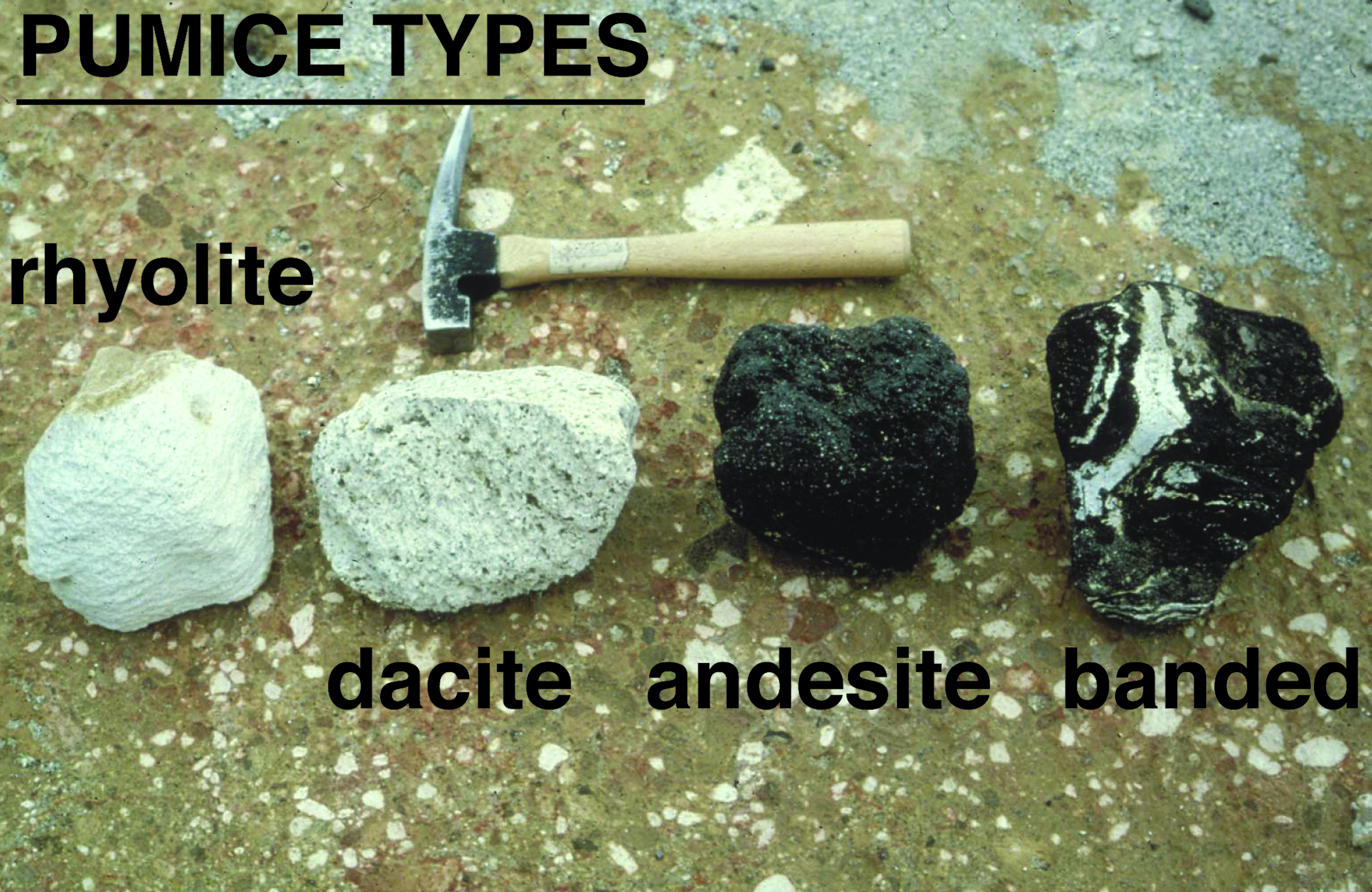 Photograph showing representative pumices from 1912 eruption.