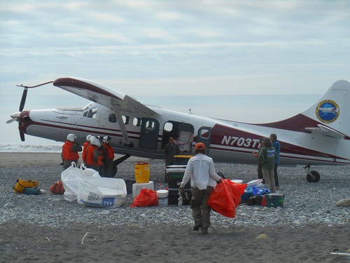 Volunteers load a plane with marine debris collected on the WRST beach.