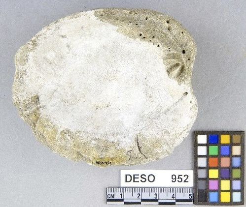 DESO     952 -- Chopper