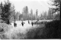 Yosemite Field School group in a meadow