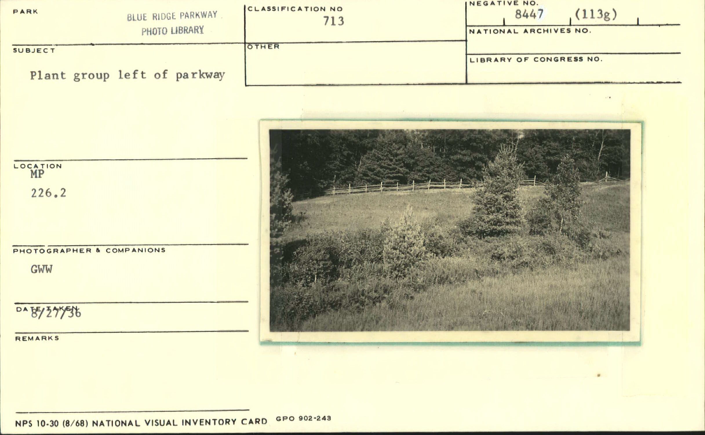 Plant group left of Parkway