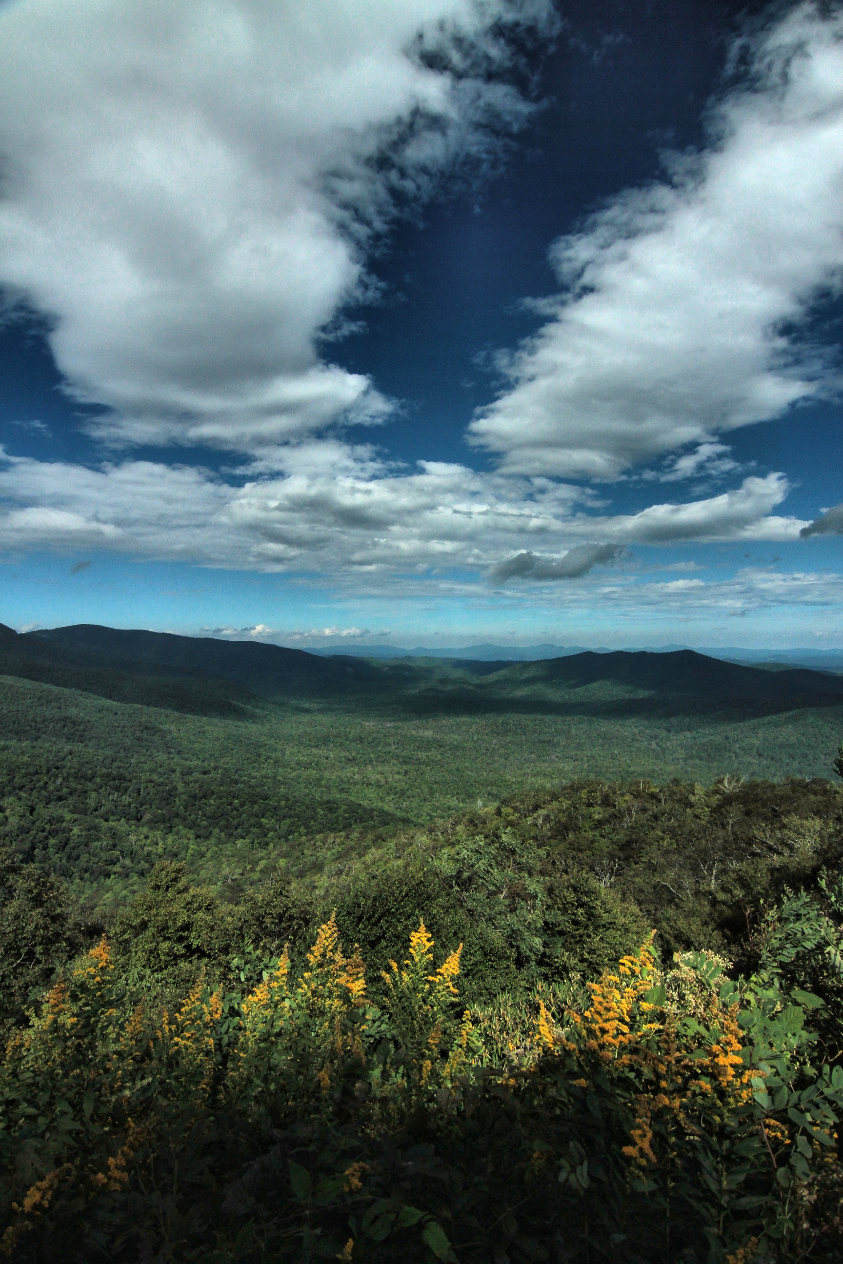 View across Pisgah National Forest