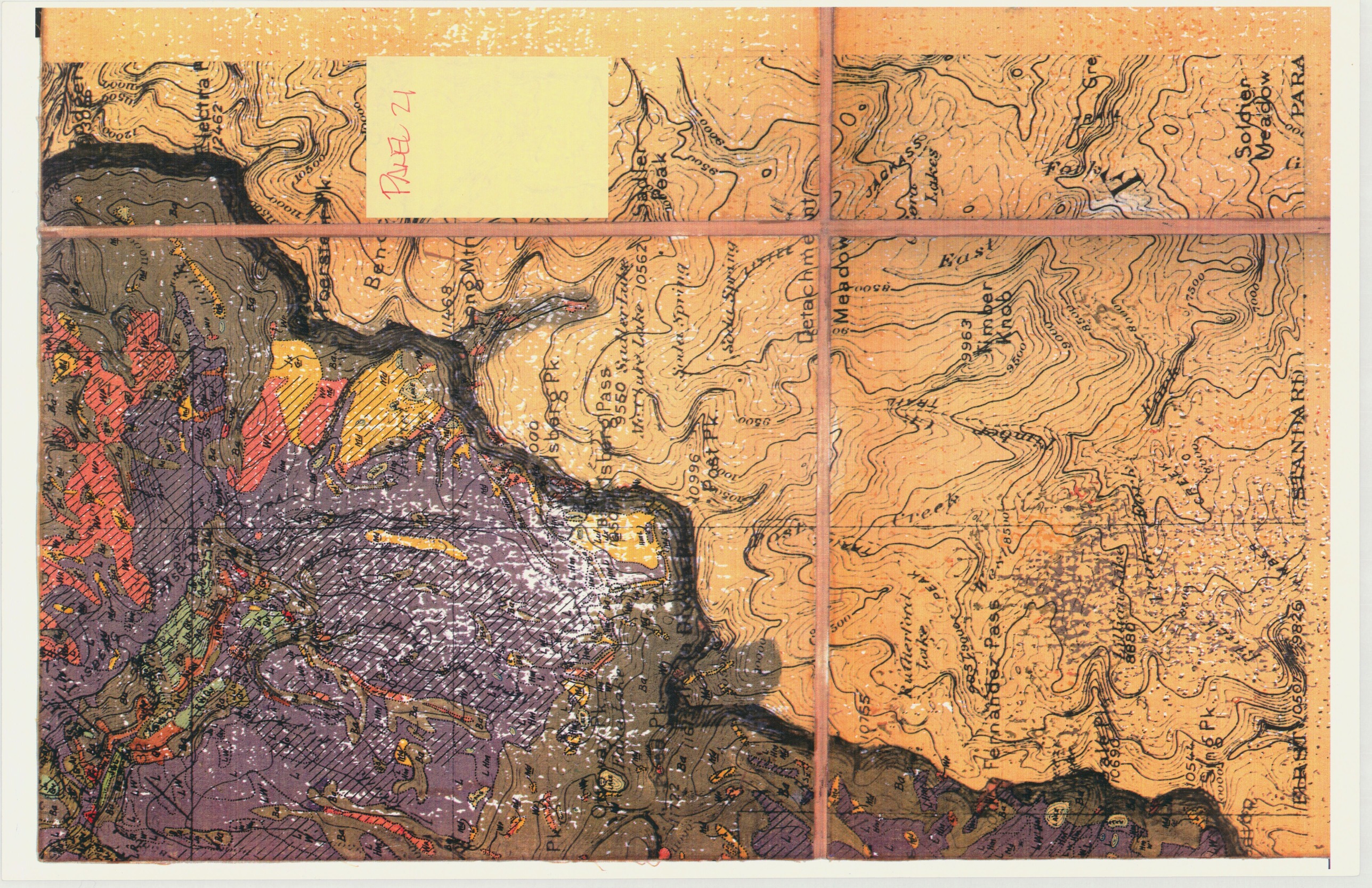 Wieslander 1930s Yosemite National Park Vegetation Map Photo Copy - Panel 21