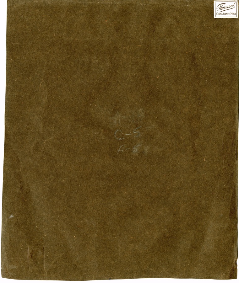 Curly Wrapped in Blanket