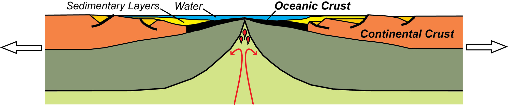 illustration of the upper layers of the earth showing the formation of a new ocean basin as the mid-ocean spreading center adds to the oceanic plate