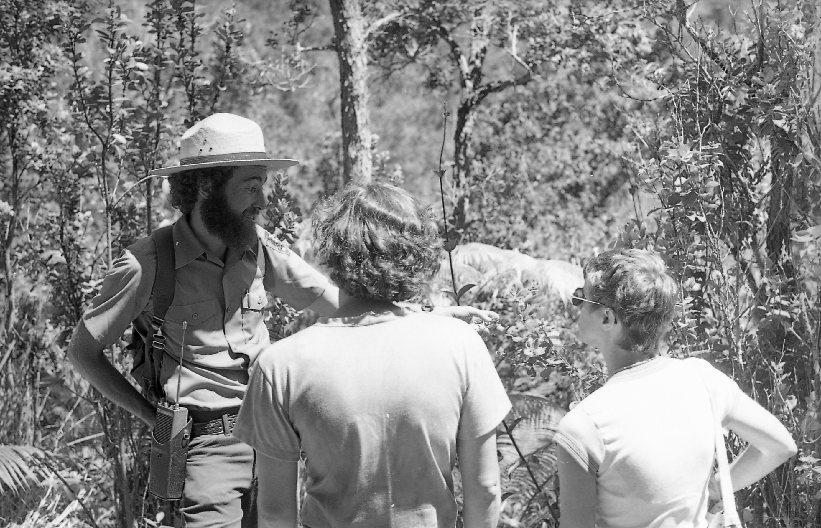 A black and white image of two visitors listening to a male park ranger in a wooded area. The two visitors, a male and a female, are looking at and listening to a park ranger in front of them. Their backs are facing the camera. They are both wearing short sleeve shirts. The park ranger in front of them is pointing towards the right side of the image with his left hand. His head is also turned toward the right side of the image. His right hand is on his hip behind a radio. The park ranger is wearing a National Park Service uniform including a ranger hat, short sleeve button down collared shirt with a National Park Service arrowhead logo on the left outer sleeve, a belt with a radio holder attached, and pants. He is also carrying a backpack. In the background there is a line of ‘ōhi‘a trees, ferns, and palm plants.