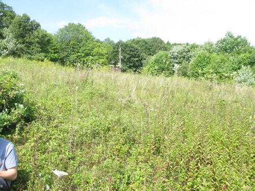 GRSM Accuracy Assessment. Plot Code: GRSM_AA_0092_5