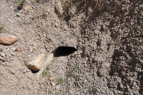 Cyclic Road Culvert Clearing