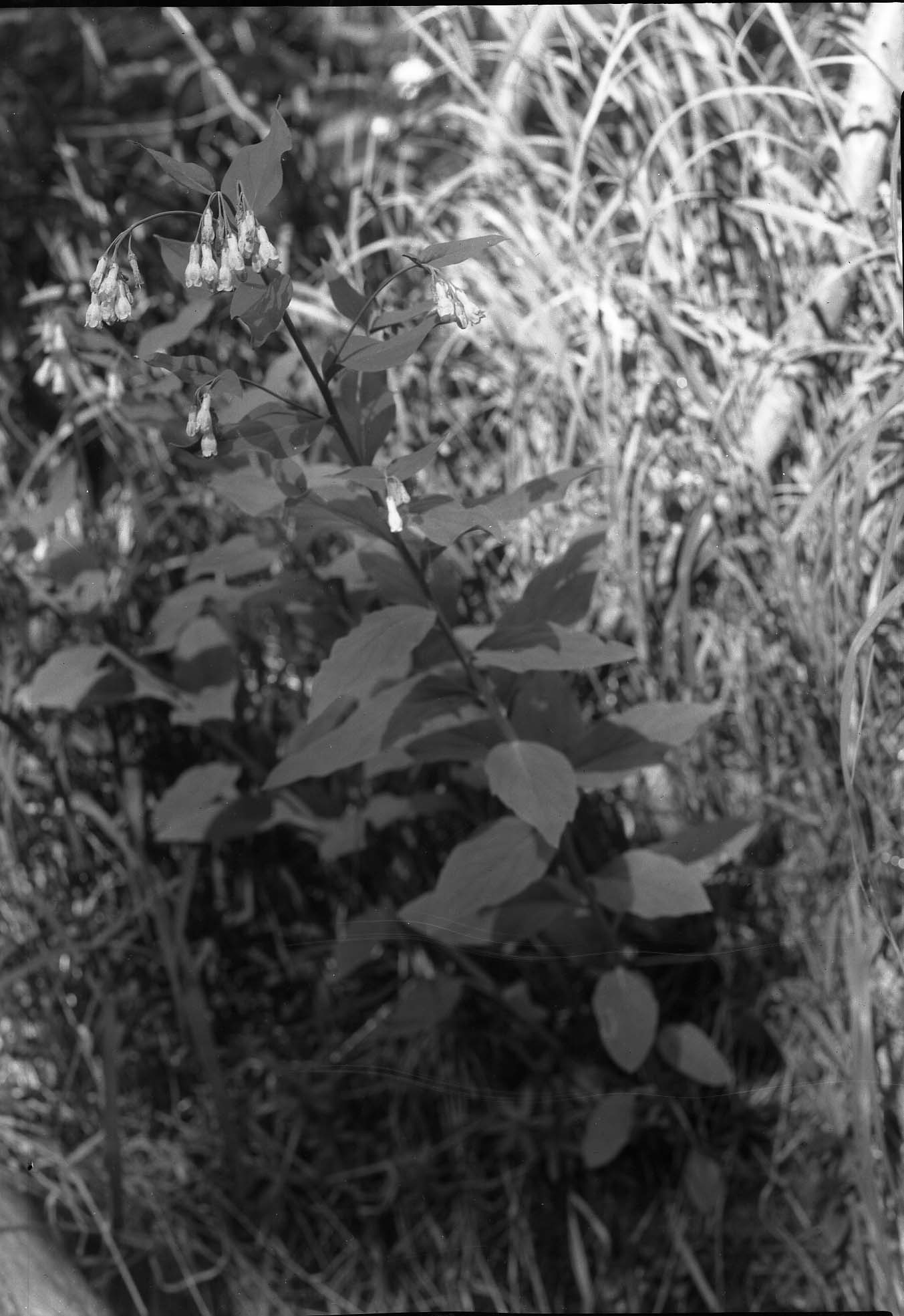 Grand Teton National Park