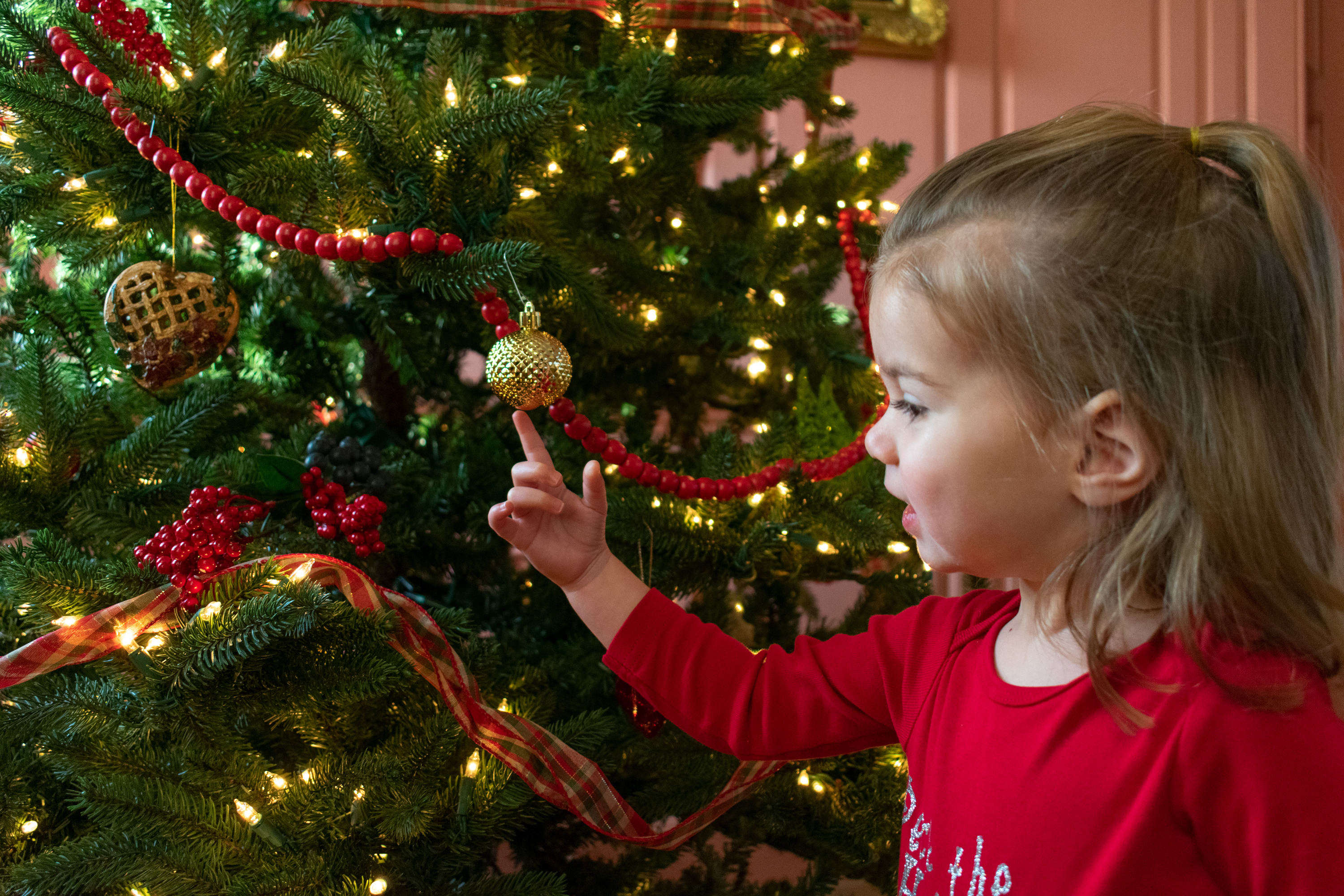 A little girl points to an ornament on a Christmas tree.