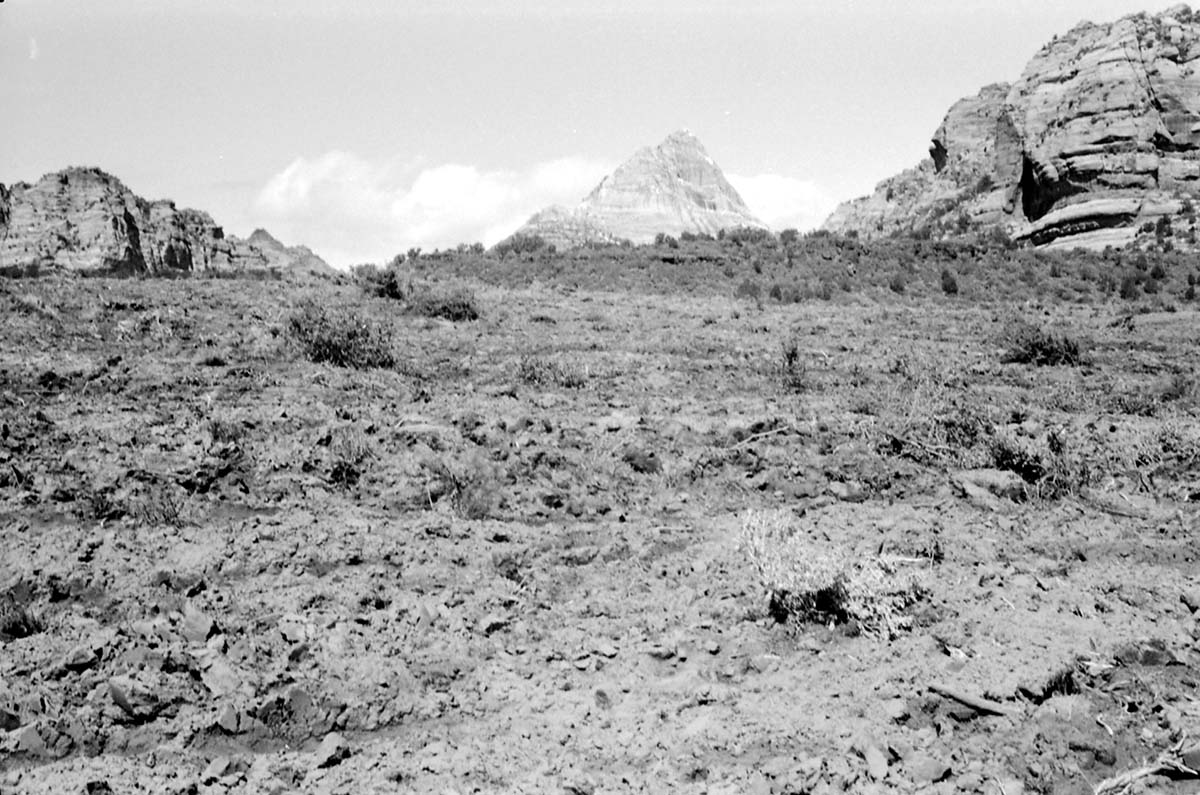 BW photo of the 1937 grazing study 35MM. Photo of chained area.