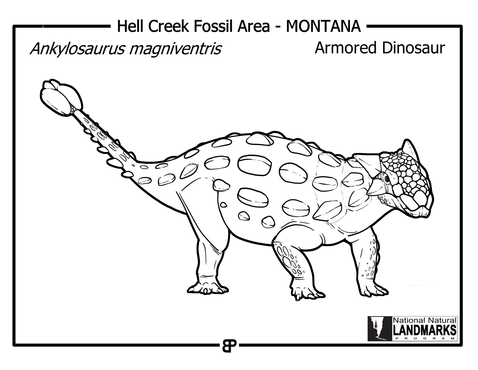 Black and white line drawing of an armored dinosaur