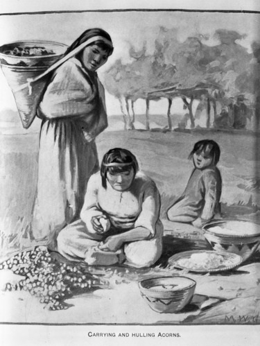 Carrying & hulling acorns. Copied from W.H. Holmes report U.S. National Museum, 1900 Plate 10.