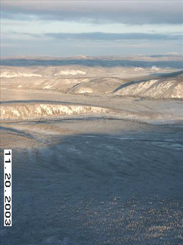 Moose Survey, Yukon-Charley, 2003 2