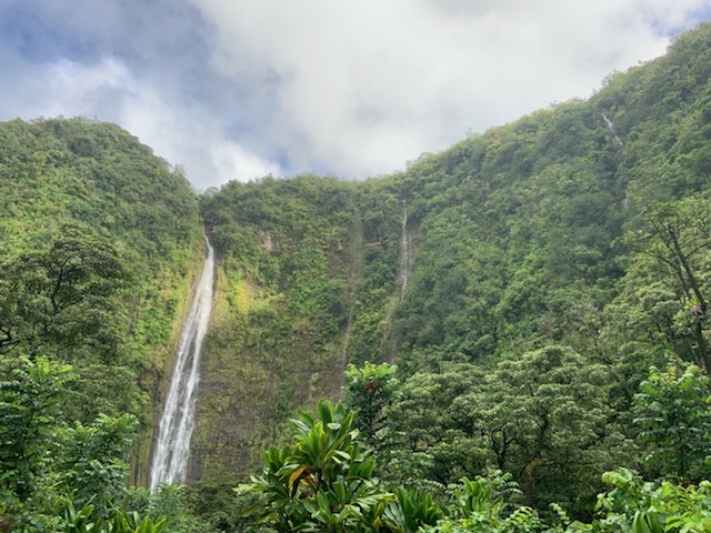 Several white waterfalls cascade over an edge 400 feet high and the cliffs are covered in dense, verdant vegetation.