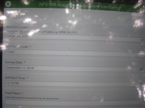 GRSM Accuracy Assessment. Plot Code: GRSM_AA_0387_1