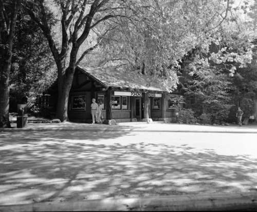 Park Concessions, Yosemite Valley.