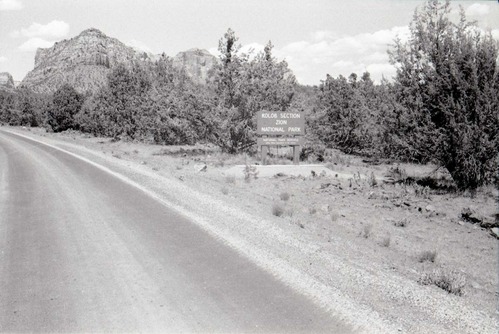 BW photo of the 1937 grazing study 35MM. Kolob Terrace Road.