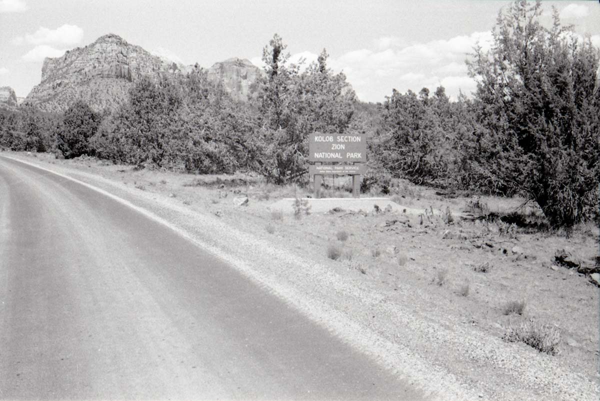 BW photo of the 1937 grazing study 35MM. Kolob Terrace Road.