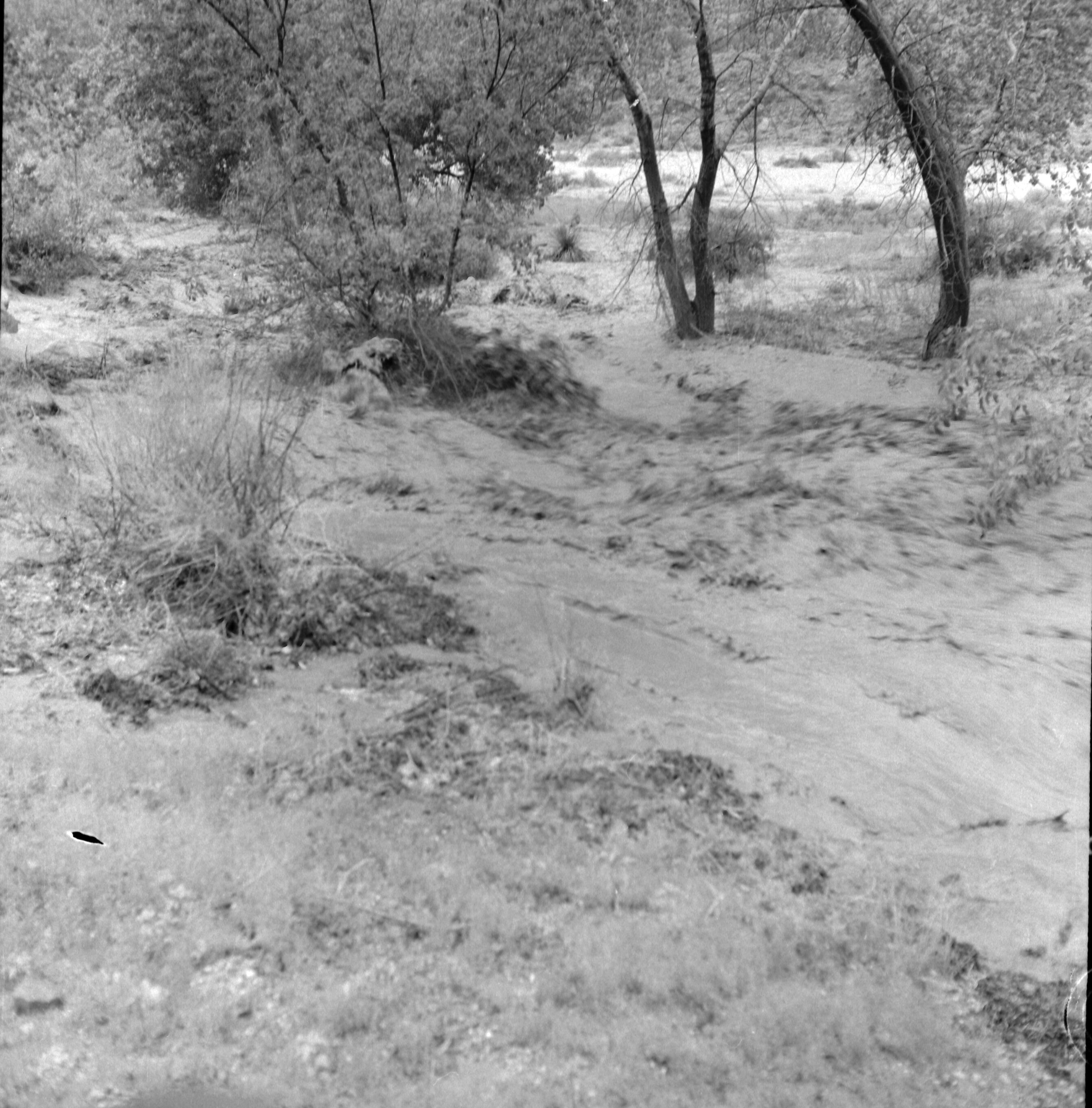 Flood damage from down pour - 1.38-inches in one hour. High water in Oak Creek near bridge adjacent to Visitor Center employee's parking area.
