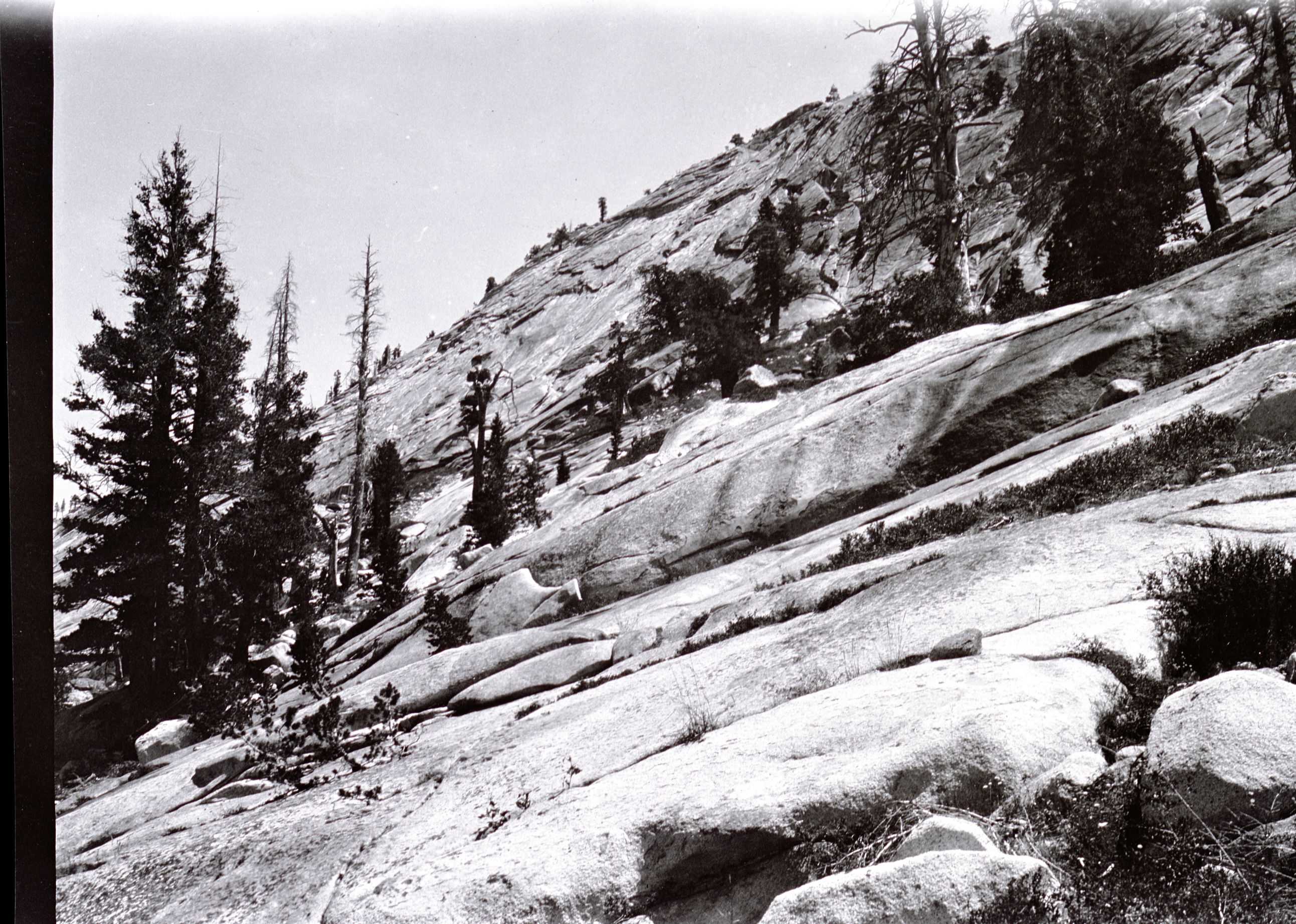 Murphy Creek/Tenaya Lake area.