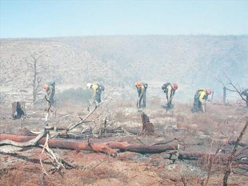 Fire fighters working on fire lines during the Long Mesa Fire, Mesa Verde National Park, July-August 2002