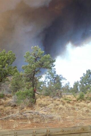 Full fire with black smoke in wooded areas during Long Mesa Fire at Mesa Verde National Park, July 29-Aug. 4, 2002