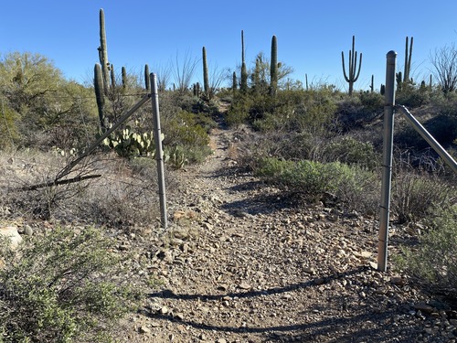 two posts serve as a gate on rocky trail with saguaros surrounding