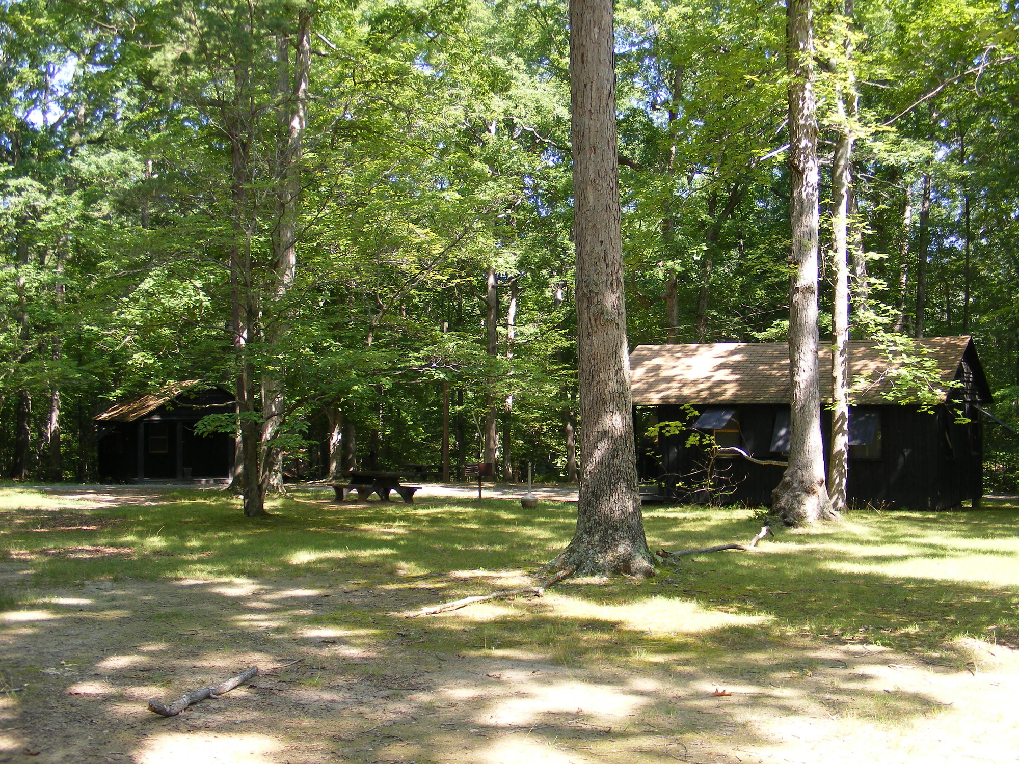 2 wooden cabins shaded by a green summer forest