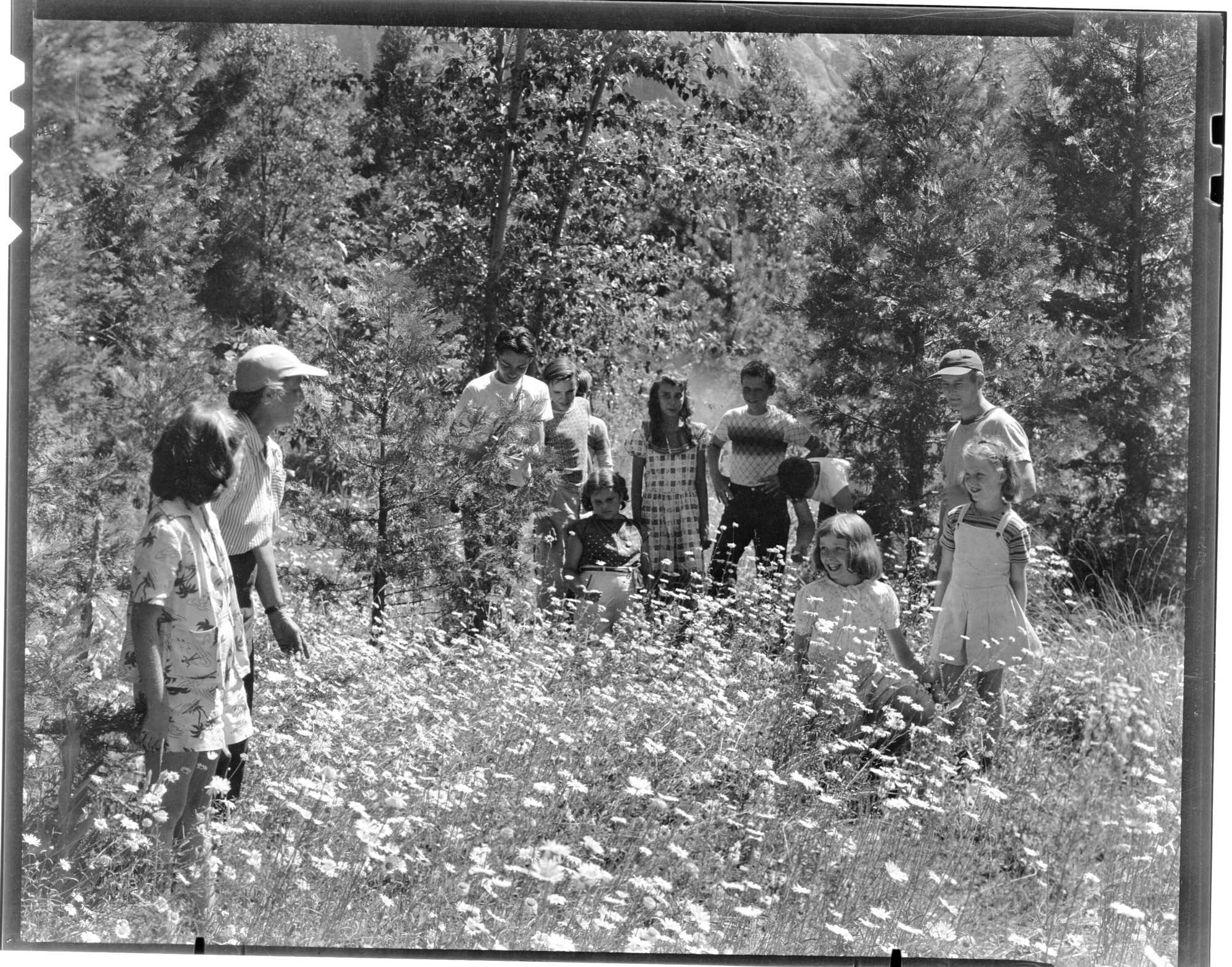 Junior Nature School -- back of Yosemite Museum.