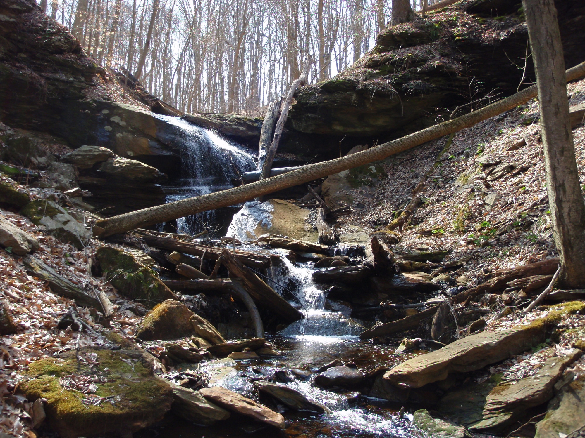 Site visit photo showing the upstream (UP) or downstream (DN) view of a wadeable stream reach taken during benthic macroinvertebrate monitoring at Friendship Hill National Historic Site.
