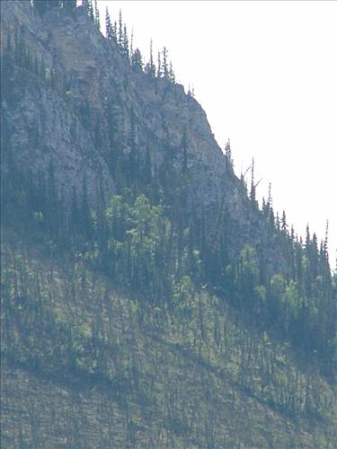 6 Yukon-Charley Rivers National Preserve Peregrine Falcon Survey July 2006