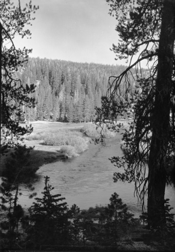 Copy Neg: (CP) L. Radanovich, 11/2002. Soda Springs Meadow 1/4 mile north of Devils Postpile.