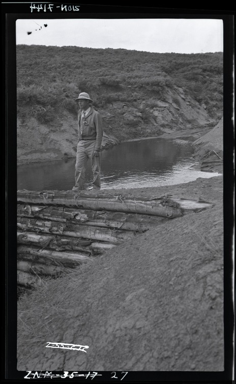 B&W negative of Blue Springs area with person on top of log dam.