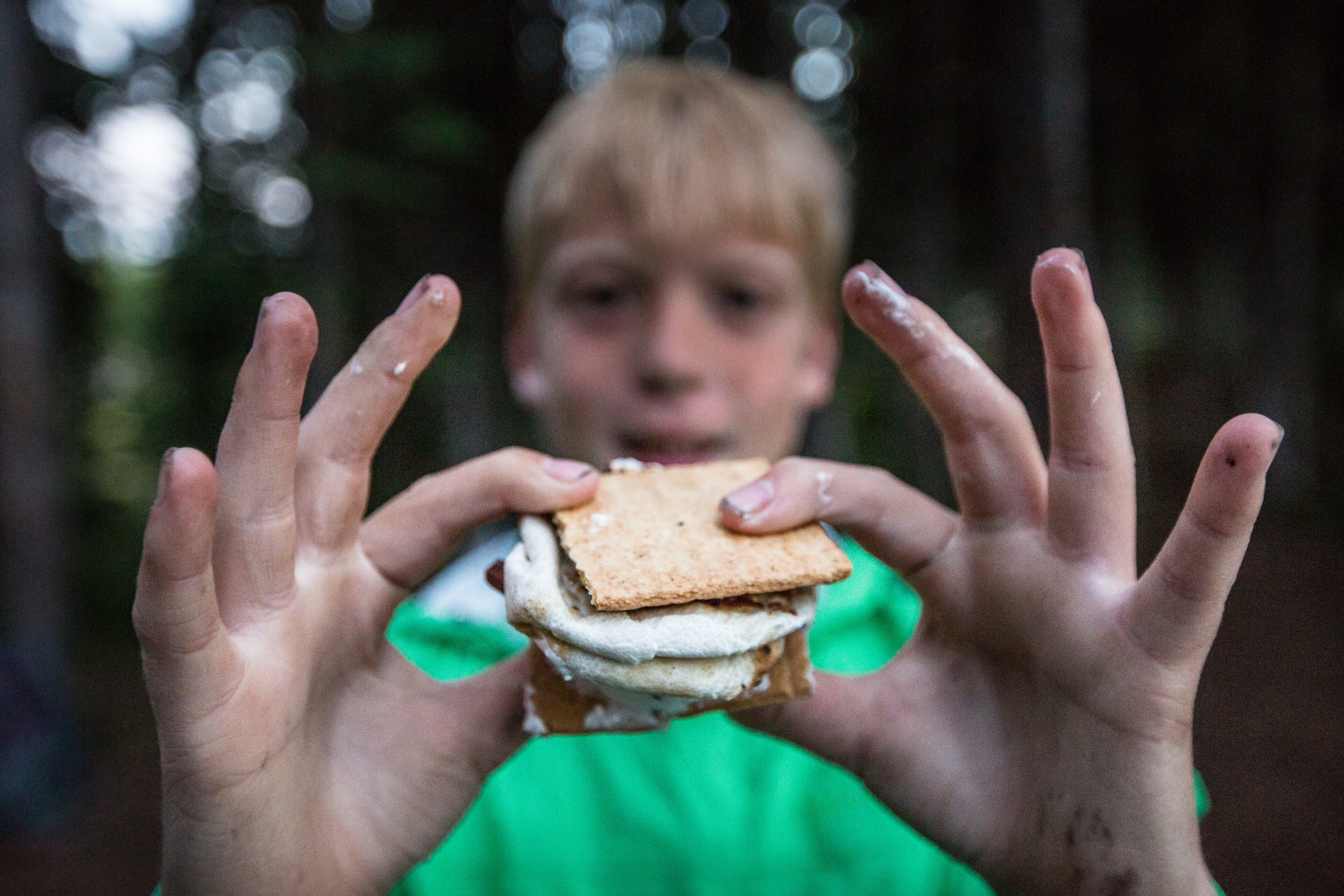 A loaded s'more is held in the hand of a boy. 