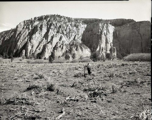 James B. Felton standing at corner common to sections 28, 29, 32, and 33, T 39 N, R 11 W, on misused land north of Firepit Knoll.