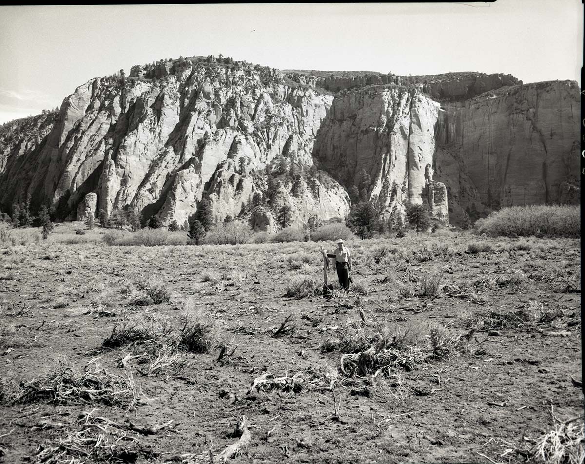 James B. Felton standing at corner common to sections 28, 29, 32, and 33, T 39 N, R 11 W, on misused land north of Firepit Knoll.