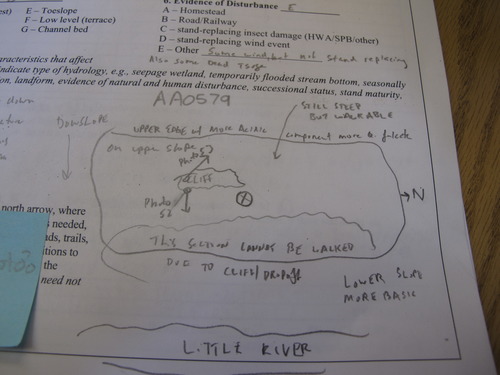 GRSM Accuracy Assessment. Plot Code: GRSM_AA_0579_7