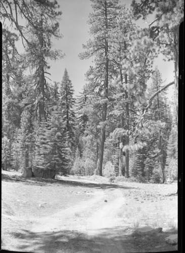 Aspen Valley logging operations.
