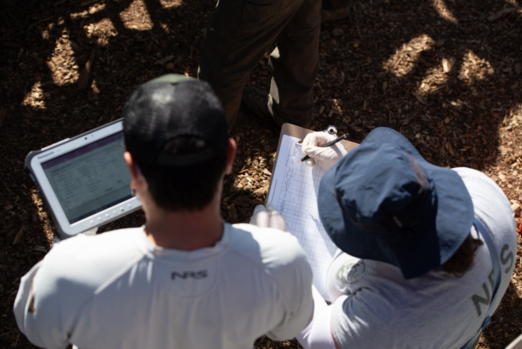 Two data managers work on data collection and recording on an electronic device. 