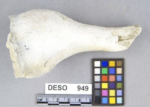 DESO     949 -- Hammer