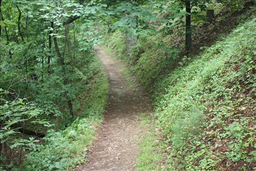 Rehab 20 Miles of Park Trails at Hot Springs National Park in May 2009