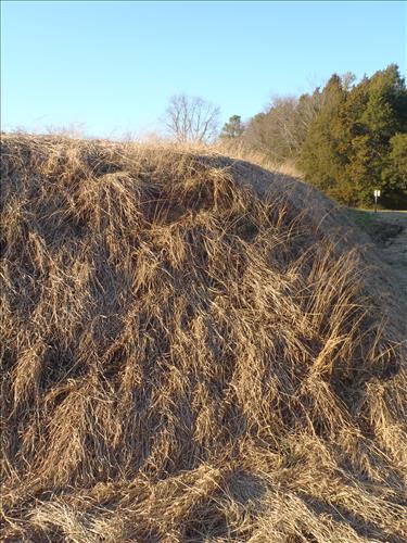 Earthwork fortifications at Richmond National Battlefield Park