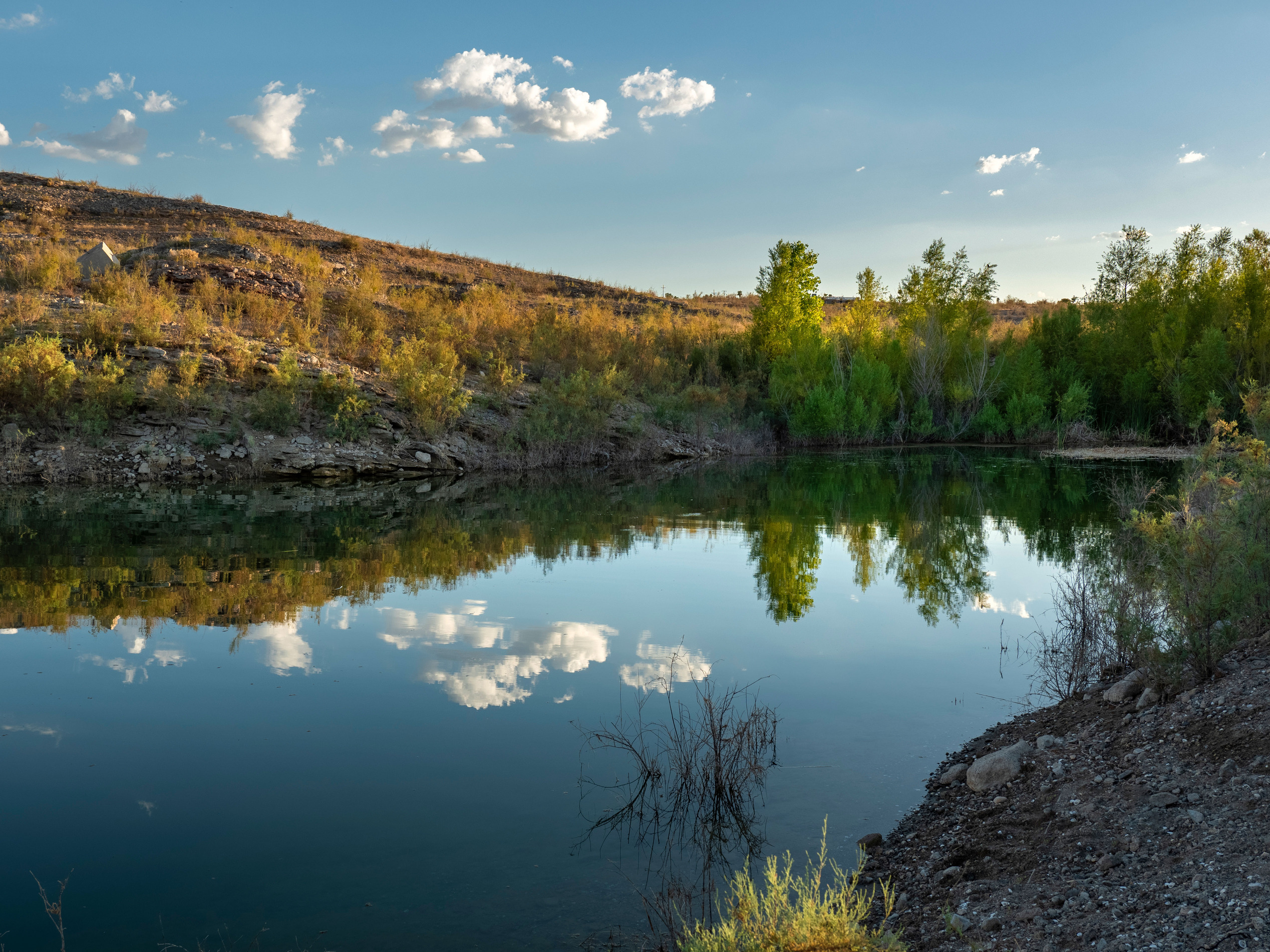 Trees and clouds reflected in body of water surrounded on three sides by trees and desert