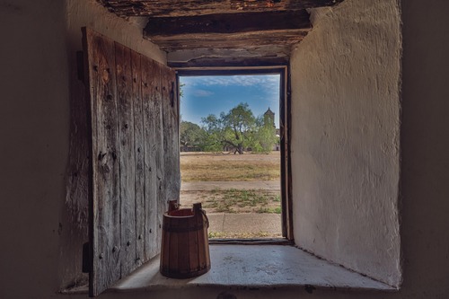 View of out a window into a field