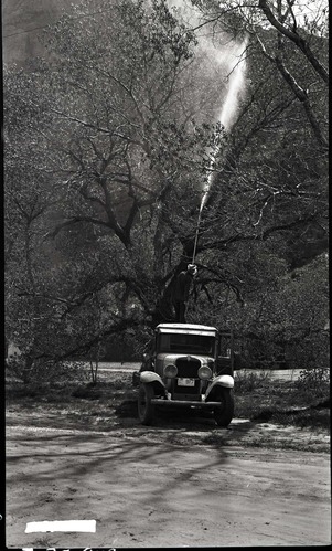 Insect control in Zion Canyon, spraying cottonwoods.