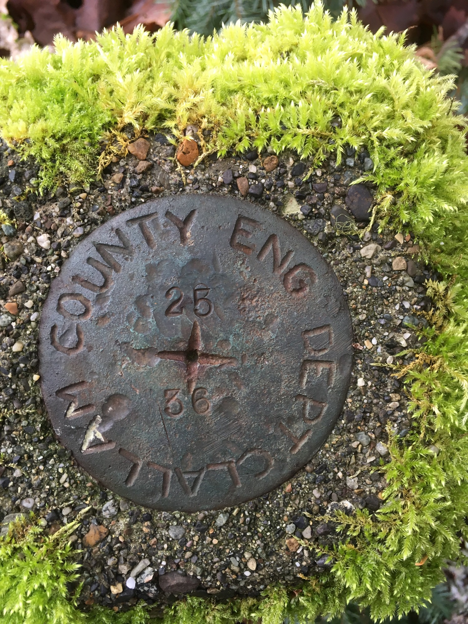 Survey monument stamped with "Clallam County Eng Dept 25|36"