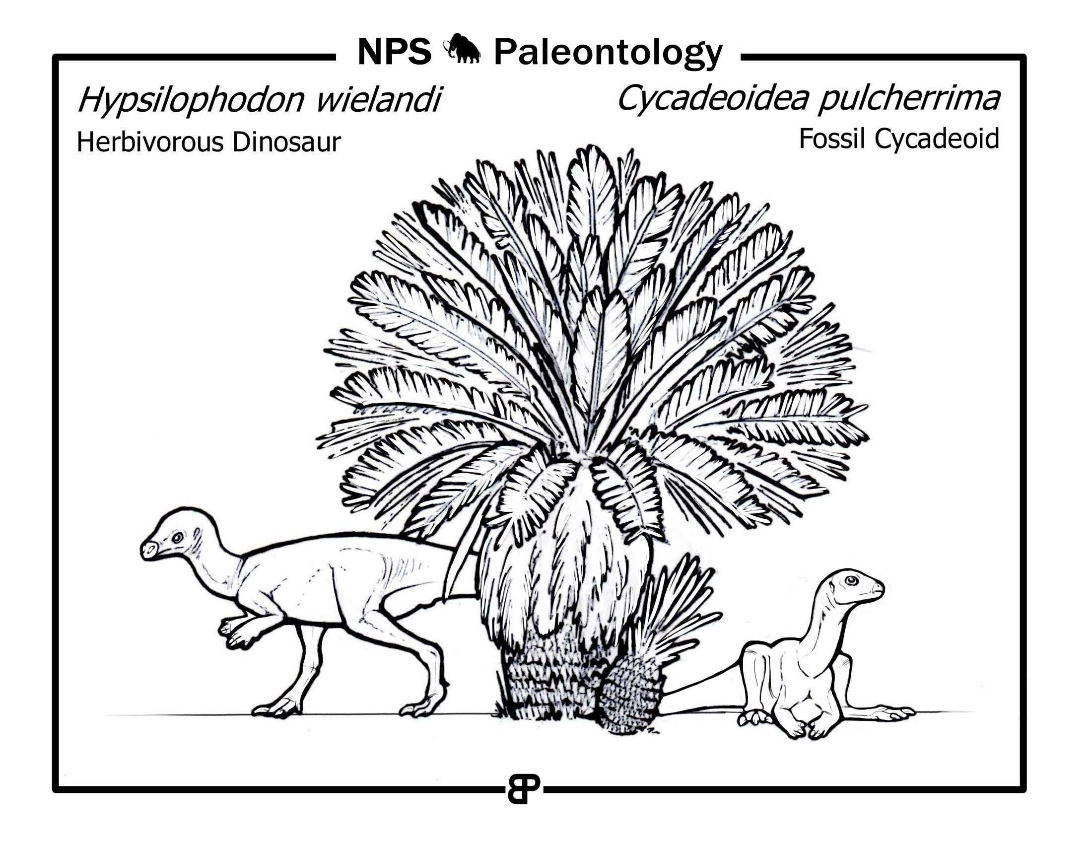 line drawing of large tree fern and 2 small dinosaurs.