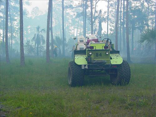 Lost Dog Prescribed burn, Big Cypress National Preserve, 2003