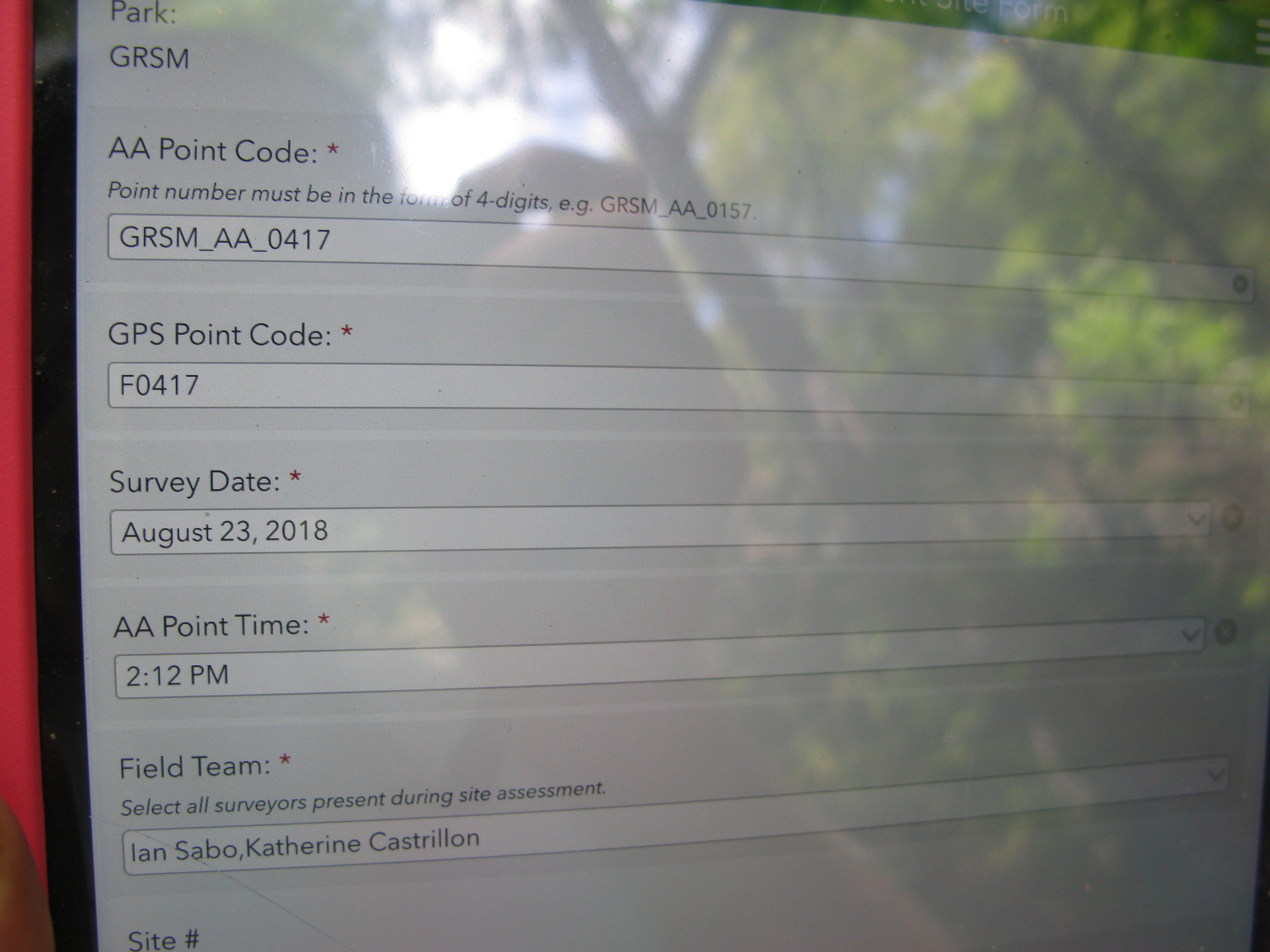 GRSM Accuracy Assessment. Plot Code: GRSM_AA_0417_1